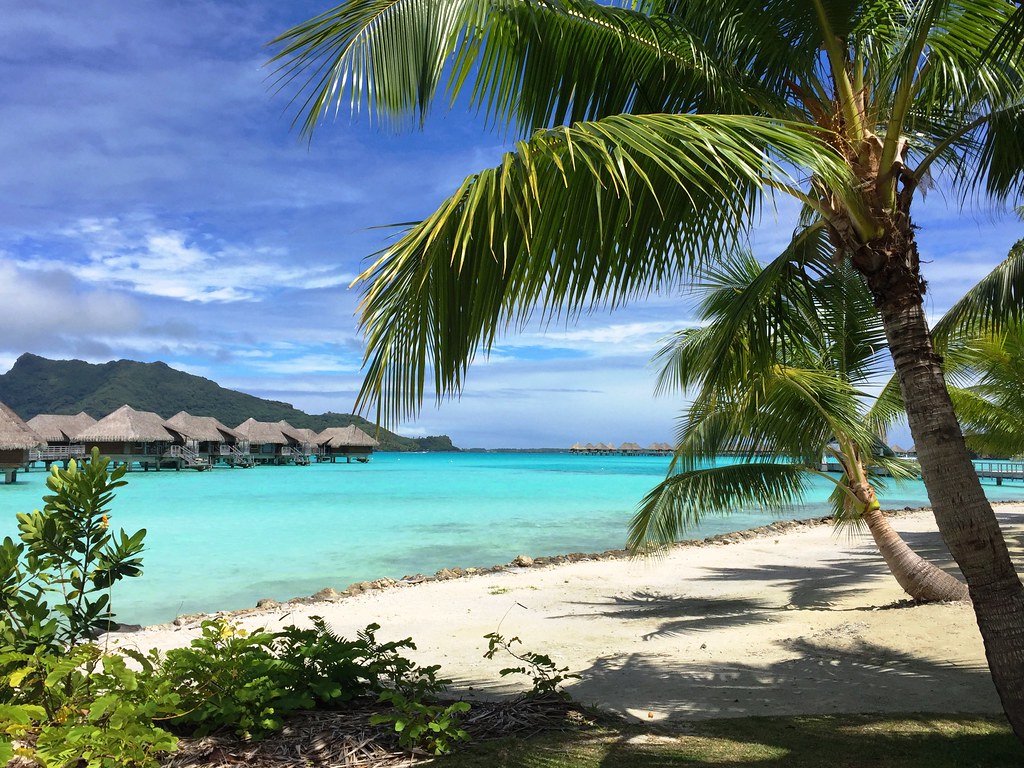 A image of a beach.